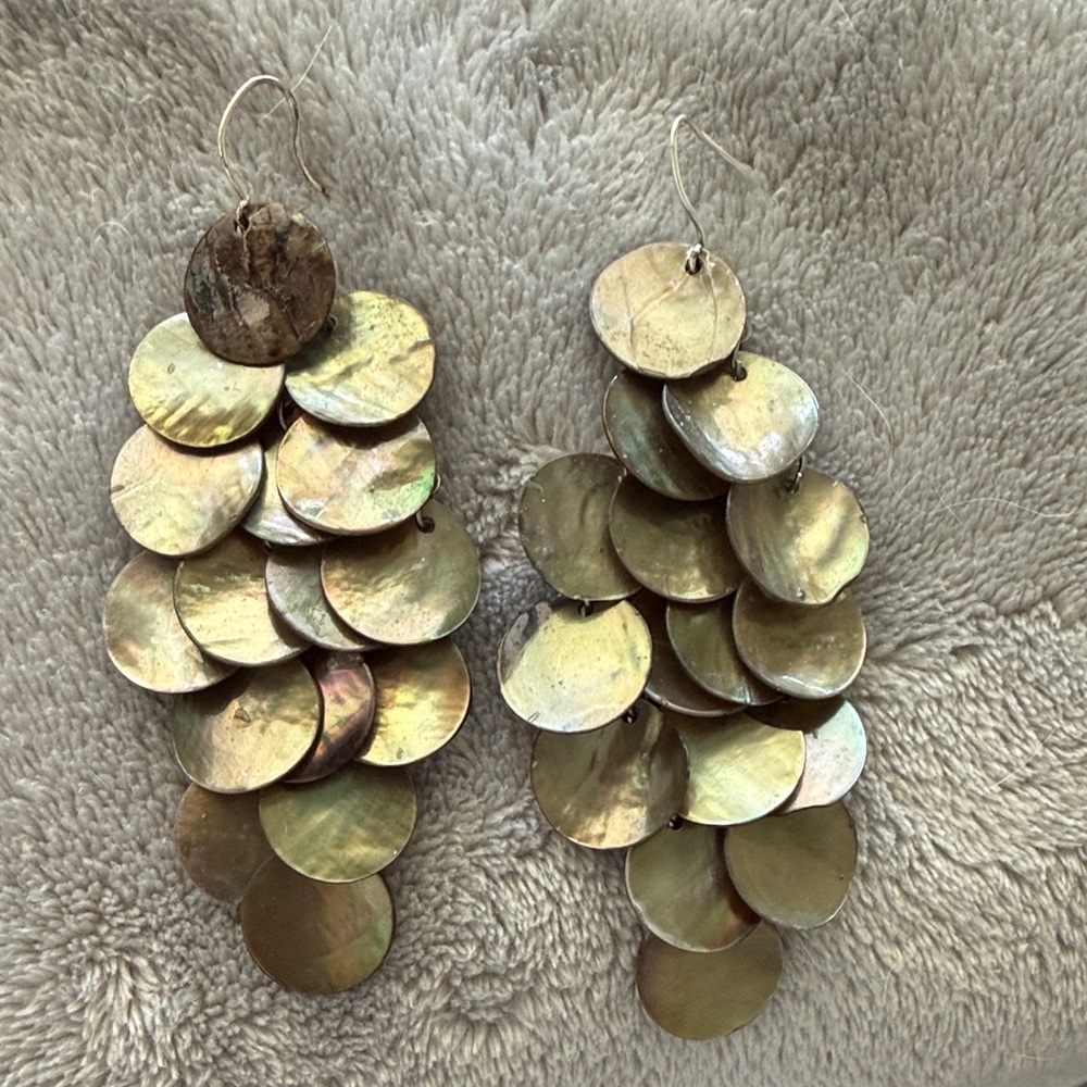 Iridescent Shell Disc Dangle Earrings - Picture 2 of 3
